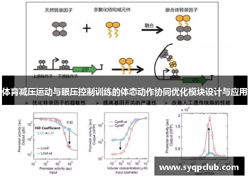体育减压运动与眼压控制训练的体态动作协同优化模块设计与应用